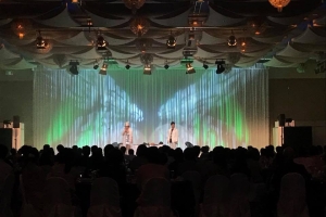 ディナーショー